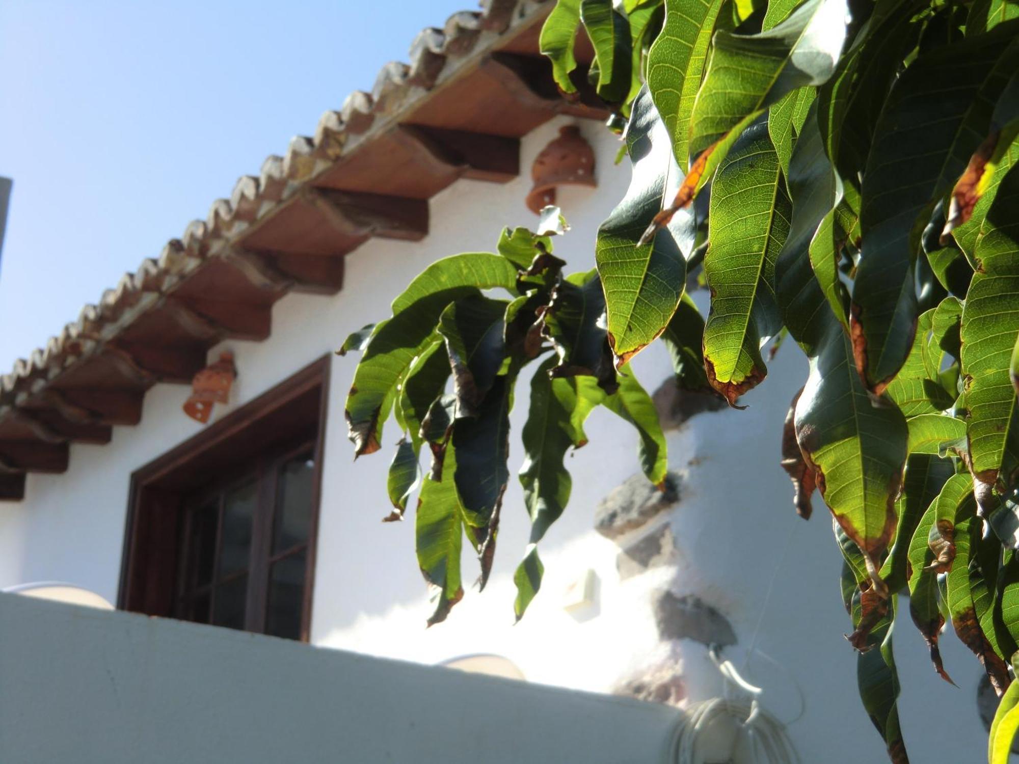 Villa Delfines Agulo Dış mekan fotoğraf